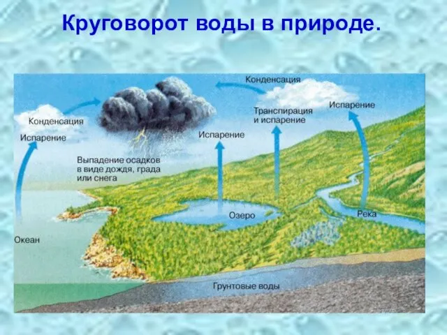 Круговорот воды в природе.