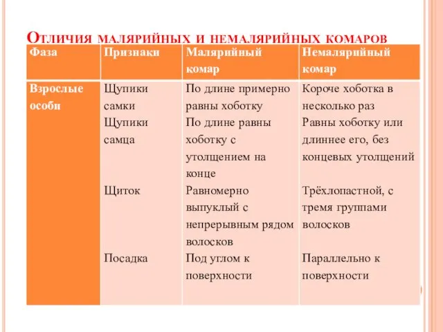 Отличия малярийных и немалярийных комаров