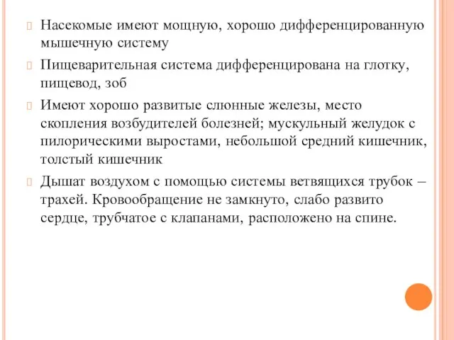 Насекомые имеют мощную, хорошо дифференцированную мышечную систему Пищеварительная система дифференцирована на глотку,