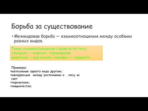 Межвидовая борьба — взаимоотношения между особями разных видов. Борьба за существование Такие