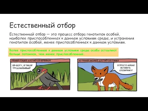 Естественный отбор Естественный отбор — это процесс отбора генотипов особей, наиболее приспособленных