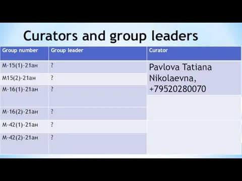 Curators and group leaders