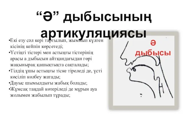 Екі езу сәл кері тартылып, жымиып күлген кісінің кейпін көрсетеді; Үстіңгі тістері