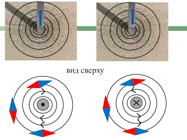 вид сверху