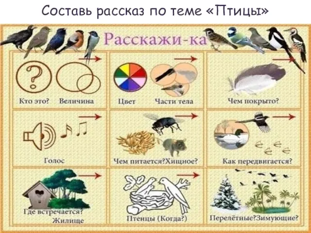 Составь рассказ по теме «Птицы»