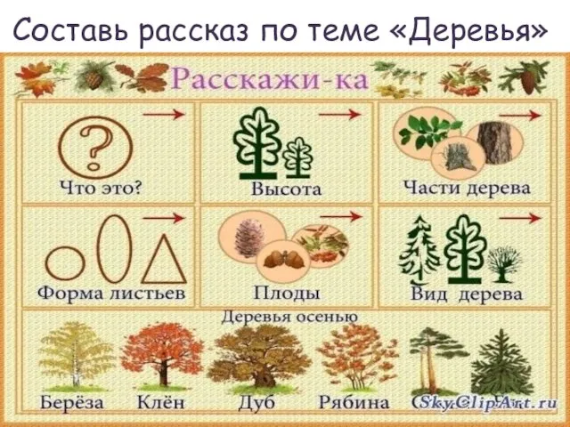 Составь рассказ по теме «Деревья»