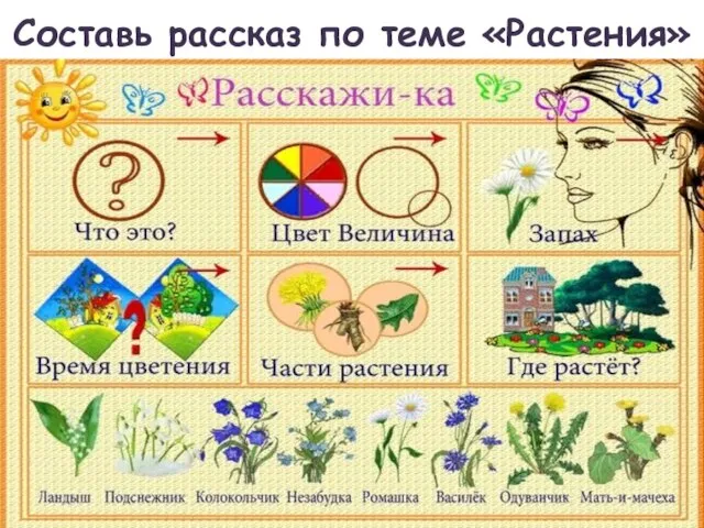 Составь рассказ по теме «Растения»