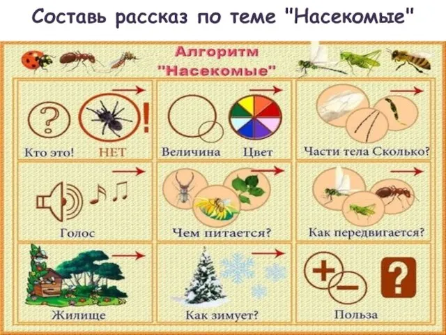 Составь рассказ по теме "Насекомые"