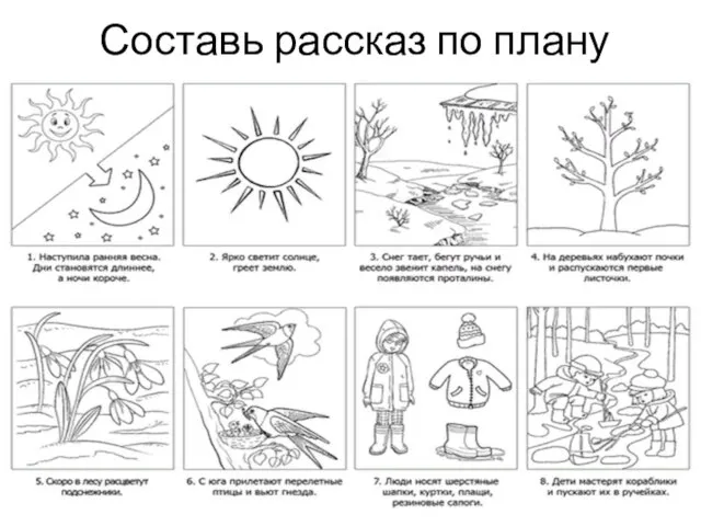 Составь рассказ по плану