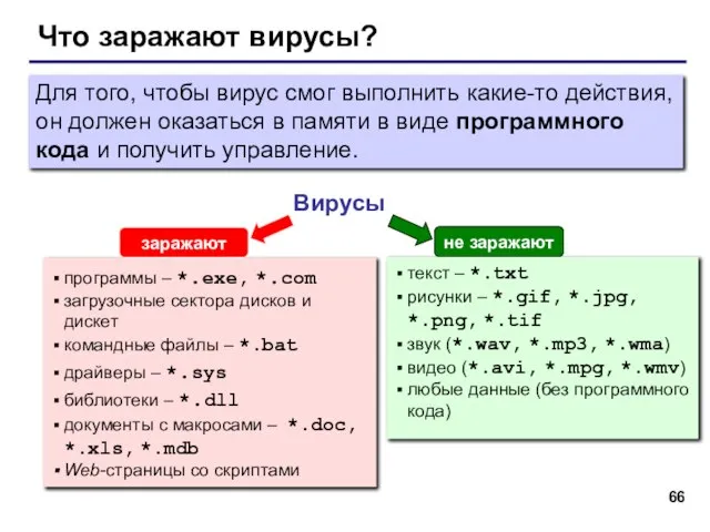 Что заражают вирусы? Вирусы программы – *.exe, *.com загрузочные сектора дисков и