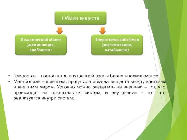 Гомеостаз – постоянство внутренней среды биологических систем; Метаболизм – комплекс процессов обмена