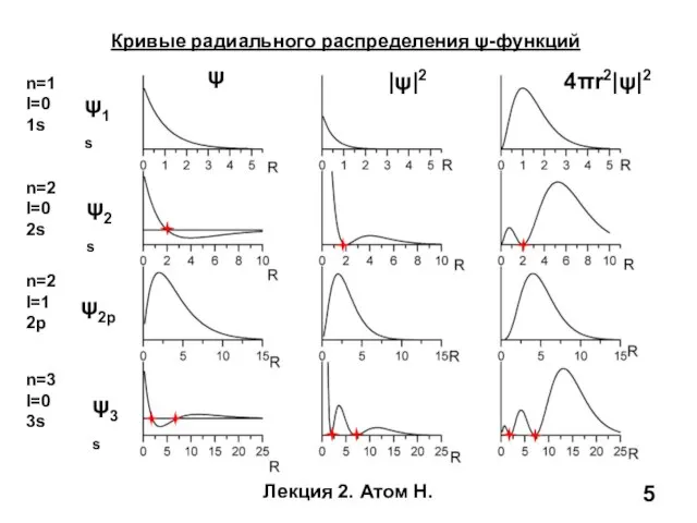 Лекция 2. Атом Н. Кривые радиального распределения ψ-функций n=1 l=0 1s n=2