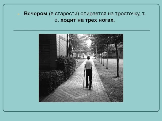 Вечером (в старости) опирается на тросточку, т.е. ходит на трех ногах.