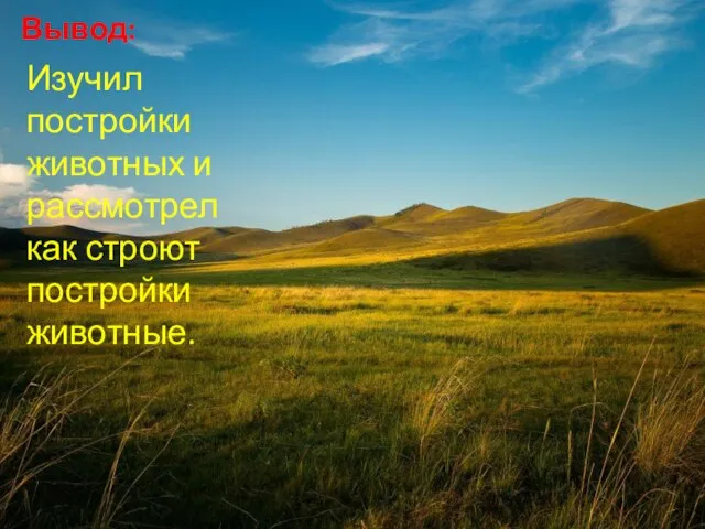 Вывод: Изучил постройки животных и рассмотрел как строют постройки животные.