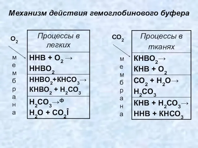 мембрана О2 СО2 Механизм действия гемоглобинового буфера мембрана