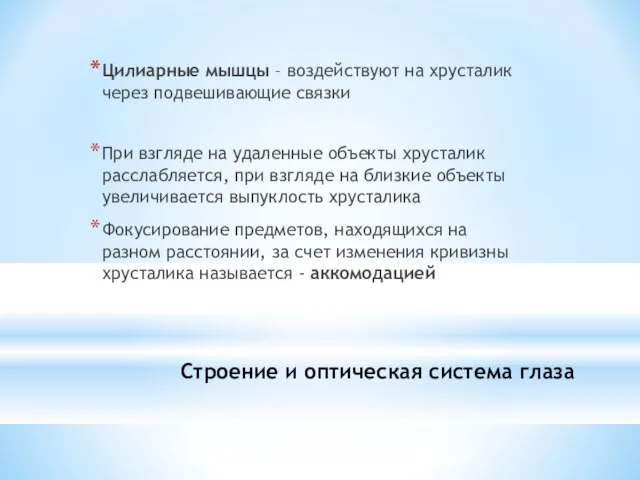 Строение и оптическая система глаза Цилиарные мышцы – воздействуют на хрусталик через