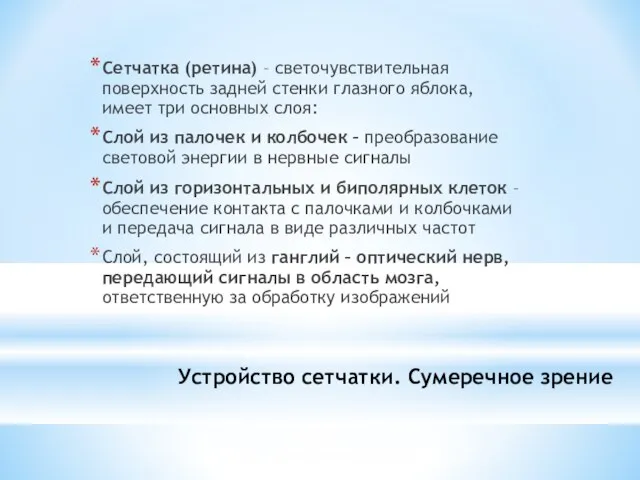 Устройство сетчатки. Сумеречное зрение Сетчатка (ретина) – светочувствительная поверхность задней стенки глазного