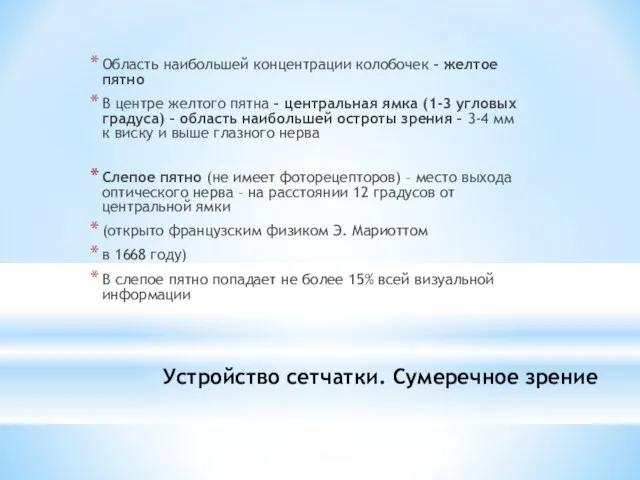 Устройство сетчатки. Сумеречное зрение Область наибольшей концентрации колобочек – желтое пятно В