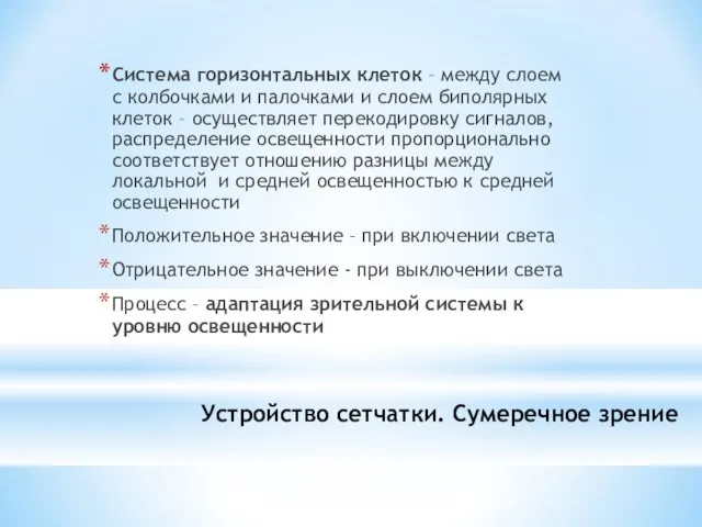 Система горизонтальных клеток – между слоем с колбочками и палочками и слоем