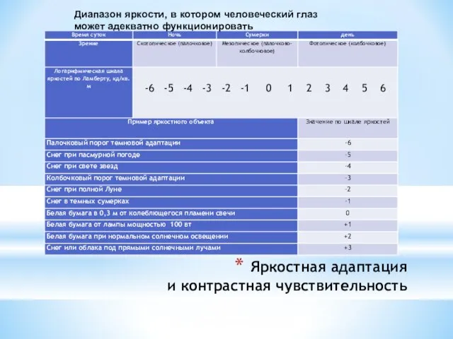 Яркостная адаптация и контрастная чувствительность Диапазон яркости, в котором человеческий глаз может адекватно функционировать