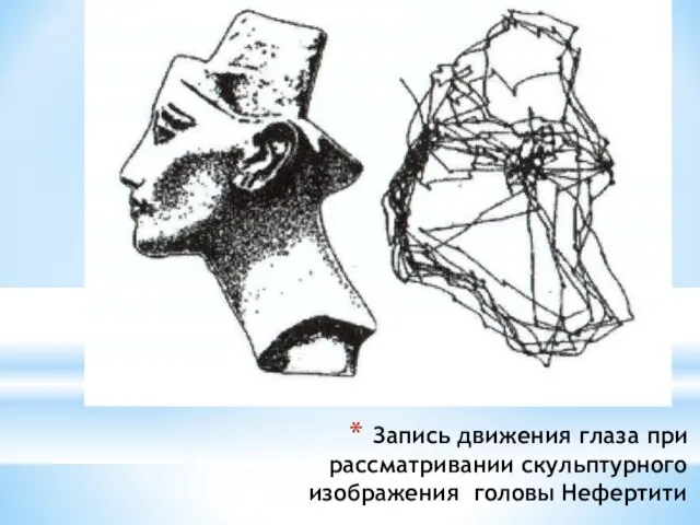 Запись движения глаза при рассматривании скульптурного изображения головы Нефертити