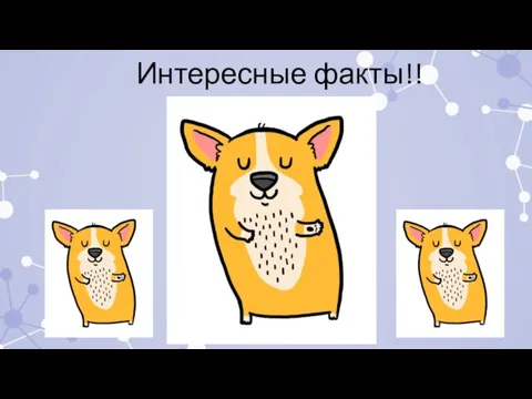 Интересные факты!!