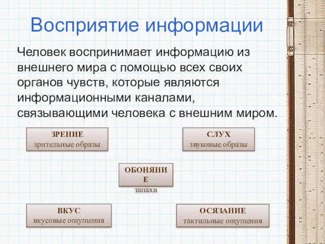 Восприятие информации Человек воспринимает информацию из внешнего мира с помощью всех своих