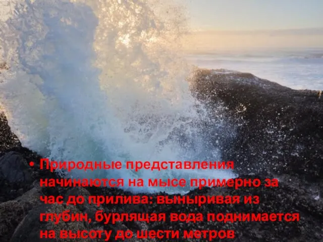 Природные представления начинаются на мысе примерно за час до прилива: выныривая из