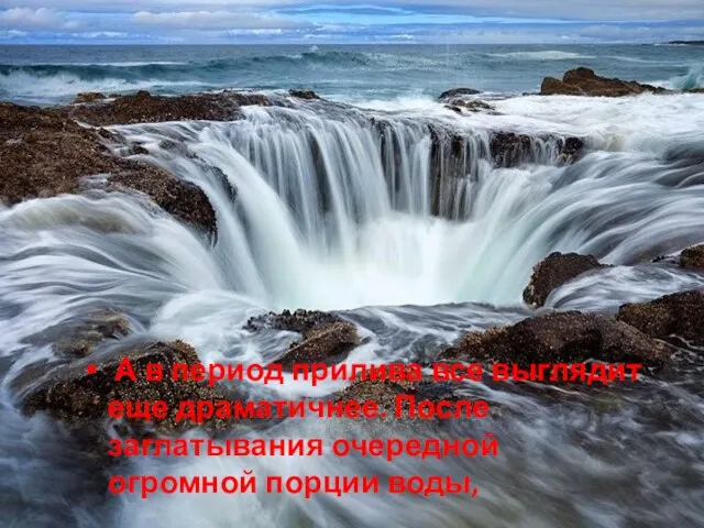 А в период прилива все выглядит еще драматичнее. После заглатывания очередной огромной порции воды,