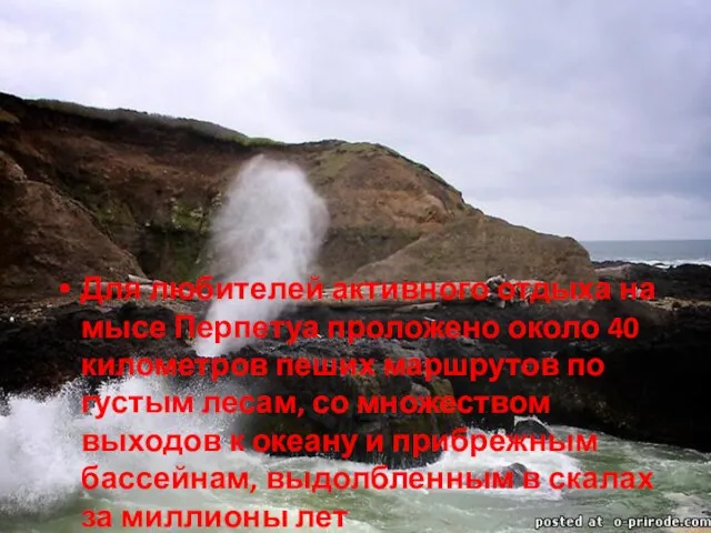 Для любителей активного отдыха на мысе Перпетуа проложено около 40 километров пеших