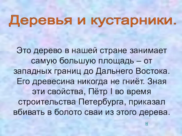 Деревья и кустарники. Это дерево в нашей стране занимает самую большую площадь