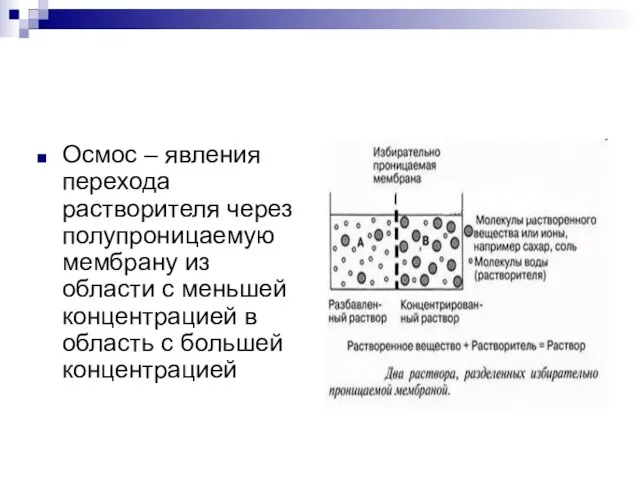 Осмос – явления перехода растворителя через полупроницаемую мембрану из области с меньшей