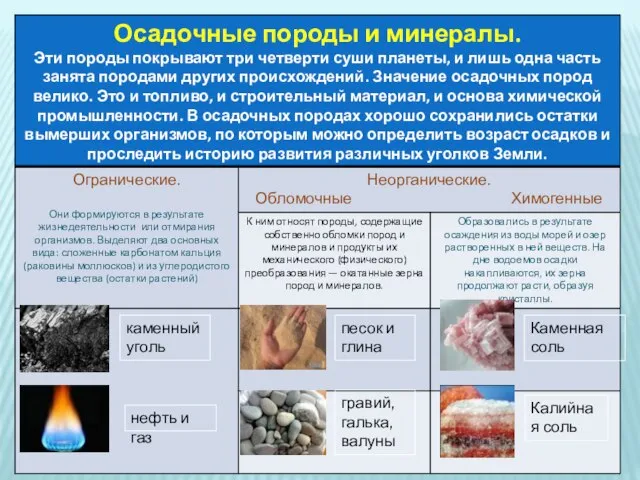 каменный уголь нефть и газ песок и глина гравий, галька, валуны Каменная соль Калийная соль