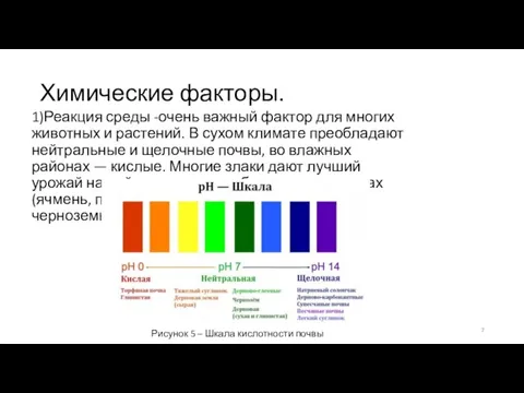 Химические факторы. 1)Реакция среды -очень важный фактор для многих жи­вотных и растений.