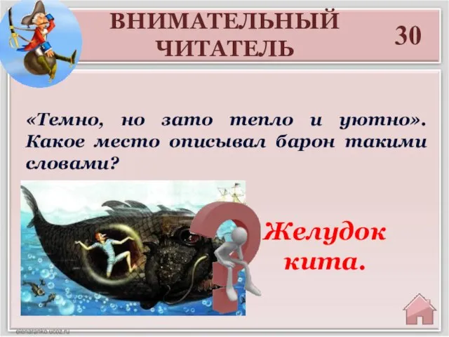 30 Желудок кита. «Темно, но зато тепло и уютно». Какое место описывал