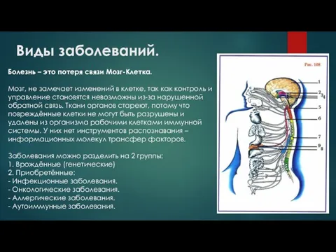 Виды заболеваний. Болезнь – это потеря связи Мозг-Клетка. Мозг, не замечает изменений