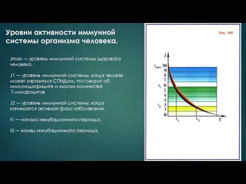 Уровни активности иммунной системы организма человека. Jmax — уровень иммунной системы здорового