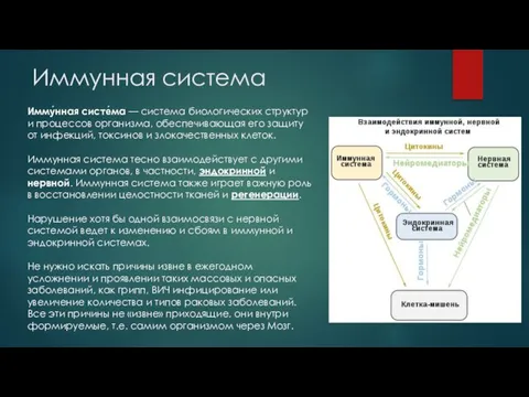 Иммунная система Имму́нная систе́ма — система биологических структур и процессов организма, обеспечивающая