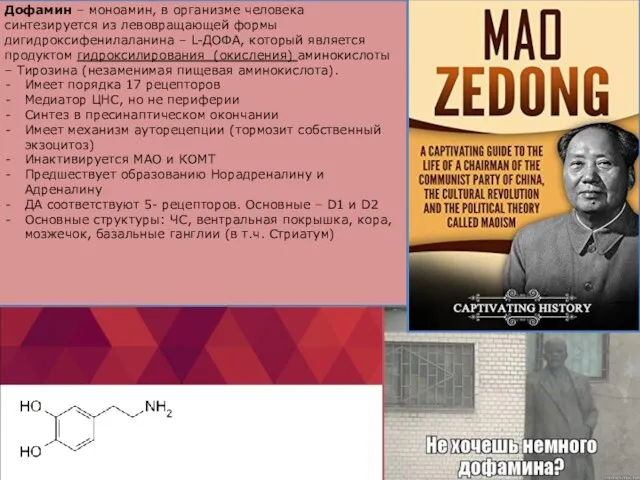 Дофамин – моноамин, в организме человека синтезируется из левовращающей формы дигидроксифенилаланина –