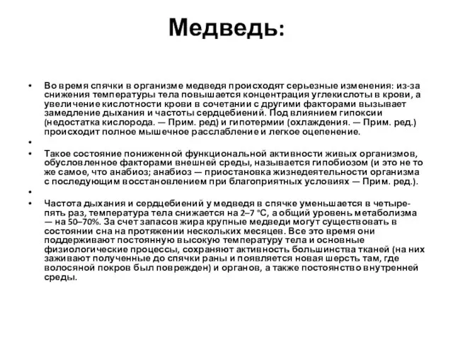 Медведь: Во время спячки в организме медведя происходят серьезные изменения: из-за снижения