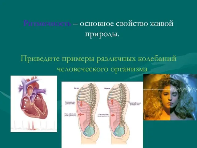 Ритмичность – основное свойство живой природы. Приведите примеры различных колебаний человеческого организма