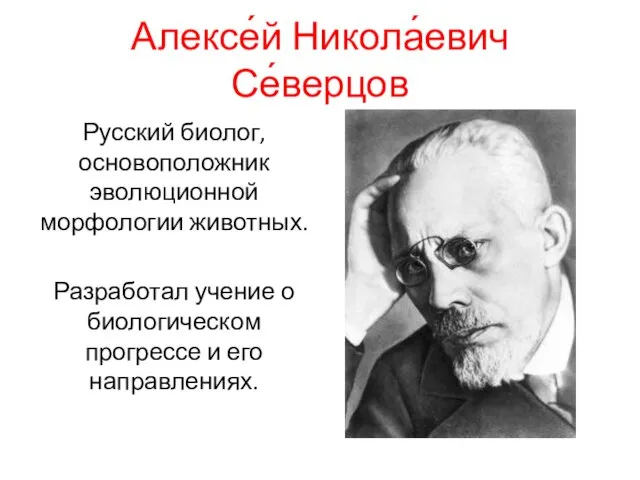 Алексе́й Никола́евич Се́верцов Русский биолог, основоположник эволюционной морфологии животных. Разработал учение о