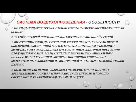 СИСТЕМА ВОЗДУХОПРОВЕДЕНИЯ - ОСОБЕННОСТИ 1. НЕ СПАДАЮЩАЯСЯ ТРУБКА, СТЕНКИ КОТОРОЙ ИМЕЮТ КОСТНО-ХРЯЩЕВУЮ