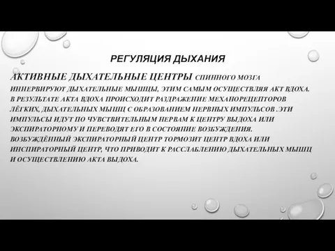 РЕГУЛЯЦИЯ ДЫХАНИЯ АКТИВНЫЕ ДЫХАТЕЛЬНЫЕ ЦЕНТРЫ СПИННОГО МОЗГА ИННЕРВИРУЮТ ДЫХАТЕЛЬНЫЕ МЫШЦЫ, ЭТИМ САМЫМ