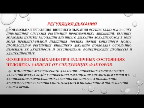 РЕГУЛЯЦИЯ ДЫХАНИЯ ПРОИЗВОЛЬНАЯ РЕГУЛЯЦИЯ ВНЕШНЕГО ДЫХАНИЯ ОСУЩЕСТВЛЯЕТСЯ ЗА СЧЁТ ПИРАМИДНОЙ СИСТЕМЫ РЕГУЛЯЦИИ