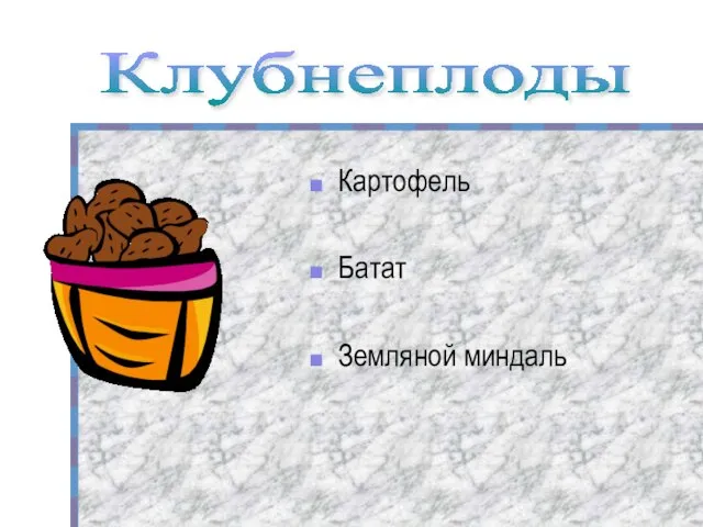 Картофель Батат Земляной миндаль Клубнеплоды