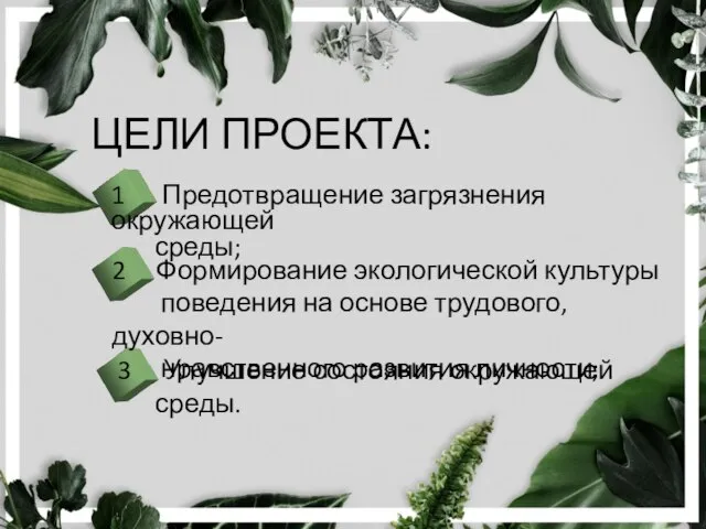 ЦЕЛИ ПРОЕКТА: 1 Предотвращение загрязнения окружающей среды; 2 Формирование экологической культуры поведения