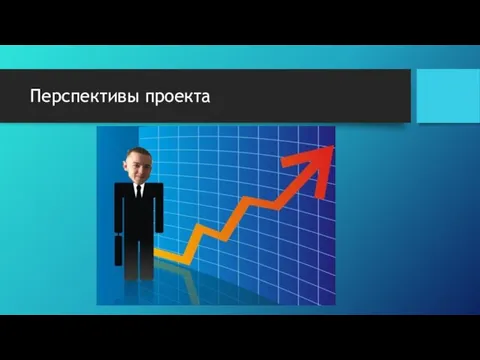 Перспективы проекта