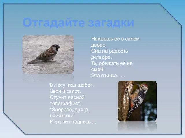 Отгадайте загадки Найдешь её в своём дворе, Она на радость детворе. Ты