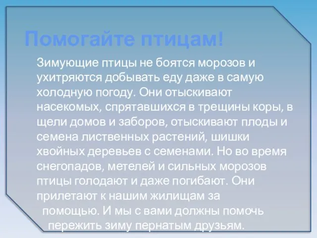 Зимующие птицы не боятся морозов и ухитряются добывать еду даже в самую